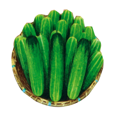 Baromashi Hybrid Cucumber Seeds (10gm) image