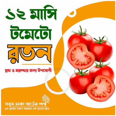 Baromasi Tomato Roton image