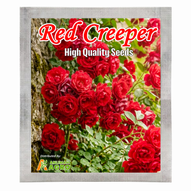 Beautiful Climbing Red Creeper Flower Seeds (Intack Pack) 0.25 gm image