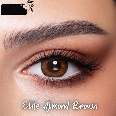 Bella Almond Brown Contact Lens With Kit Box image