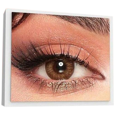 Bella Almond Brown Contact Lens With Kit Box image