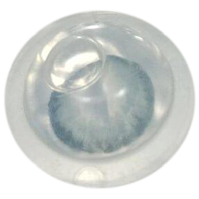 Bella Glitter Grey Color Contact Lens image