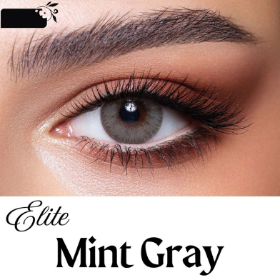 Bella Mint Gray Elite Color Contact Lens With Kit Box image