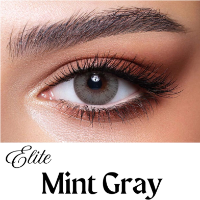 Bella Mint Gray Elite Color Contact Lens With Kit Box image