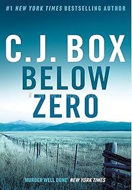 Below Zero image