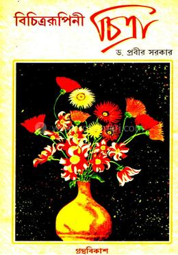 বিচিত্ররূপিণী চিত্রা 