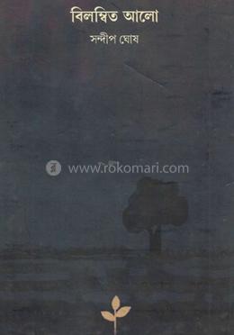 বিলম্বিত আলো