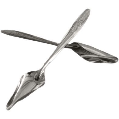 Bird Feeding Spoon Stainless Steel image