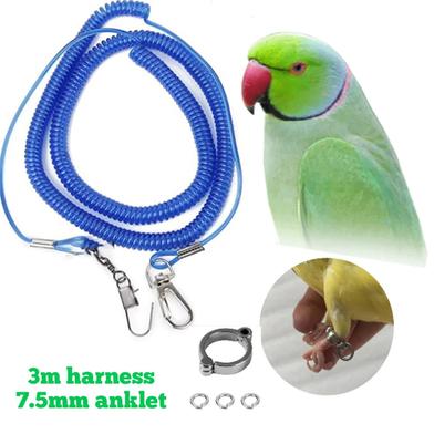 Bird Foot Ring 7.5mm with Spring Harness 5m for Ringneck Parrot, Sun Coniur And Lory bird image