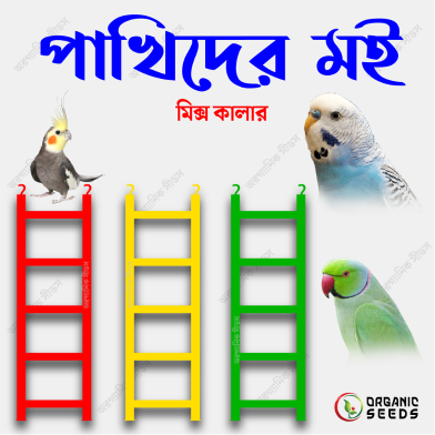Bird Ladder Fun Cage Toy For Bird Training image