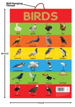 Birds - Early Learning Educational Posters For Children