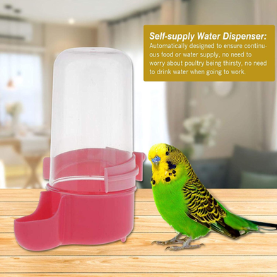 Bird's Water And Food Dispenser 1 Pcs Slide 3