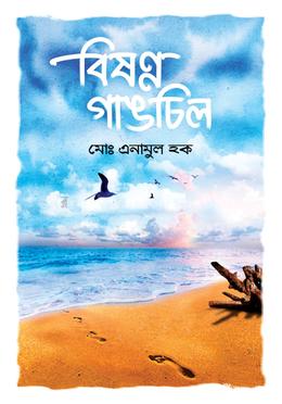 বিষণ্ণ গাঙচিল 