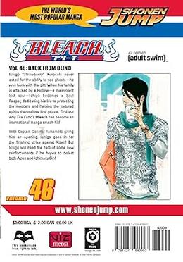 Bleach 46