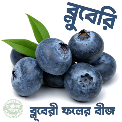 Blue Berry Seed image