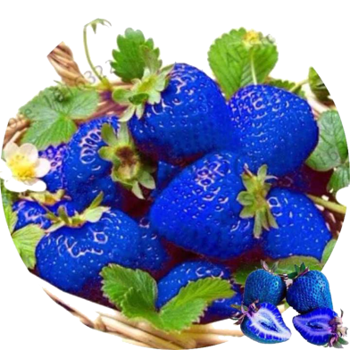 Blue Strawberry Seeds - 30 Pcs image