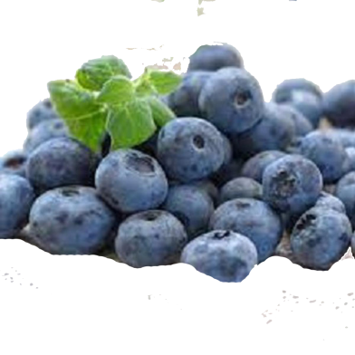 Blueberry Bonsai Fruit Tree Seeds - 20 Pcs image
