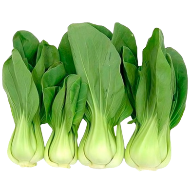 Pakchoy Seeds/Bok Choy Seeds 100 Plus Pcs Re-Pack image