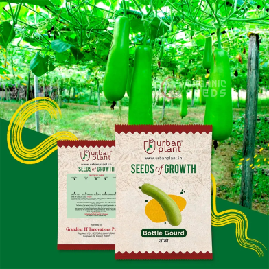 Bottle Gourd (Lau) Seeds image