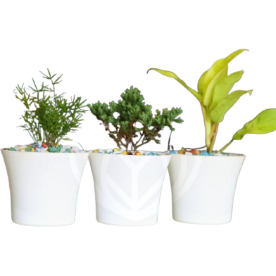 Brikkho Hat Indoor set image