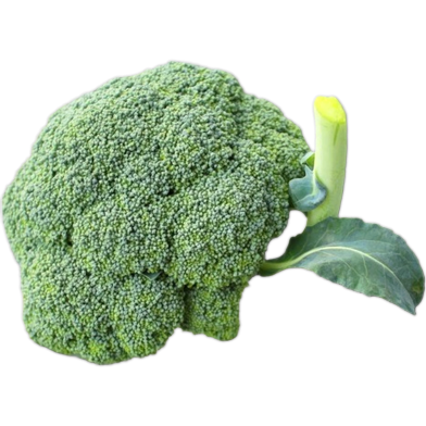 Broccoli Organic Vegetable Seeds - 20 Pcs F1 Hybrid image