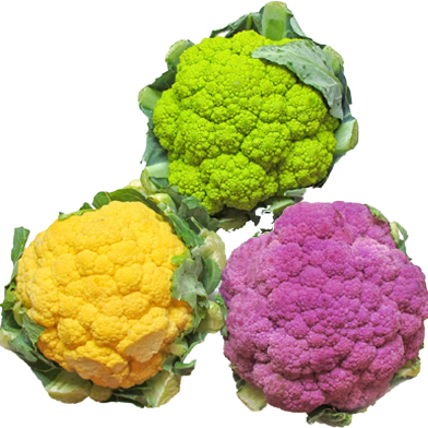 Broccoli Seeds - 20 Pcs image