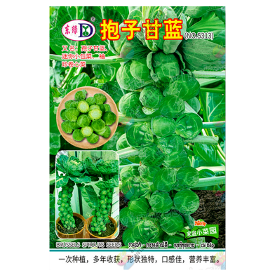 Brussels Sprouts Seeds Intact Pack 0.25gm image