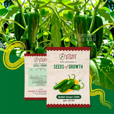 Bullet Green Chili Seeds F1 Hybrid image