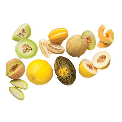 Cantaloupe Honey Melon Seeds 5 Pcs image