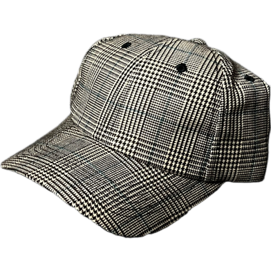 Capon Classic Plaid Check Cap image