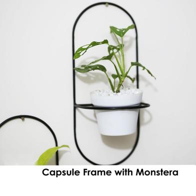 Brikkho Hat Capsule Frame Set (2 pcs) image