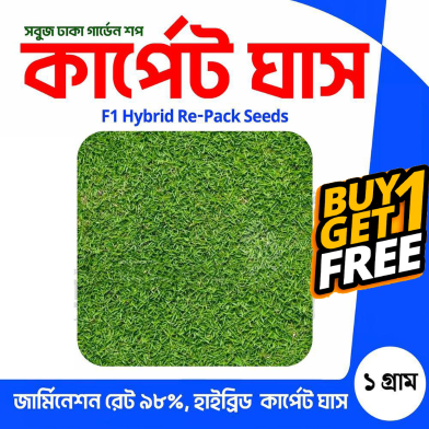 Carpet Grass Seeds 2 gm Re-Pack (Buy 1 Get 1 FREE) image