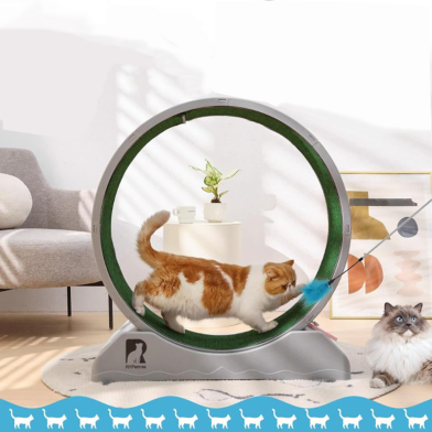 Cat Exercise Wheel, 39.5 Inch Cats Treadmill for Indoor, Cat Running Wheel image