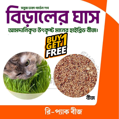 Cat Grass Seeds 1000 Seeds (Buy 1 Get 1FREE) image