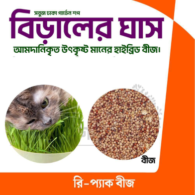 Cat Grass Seeds 1000+ Seeds image