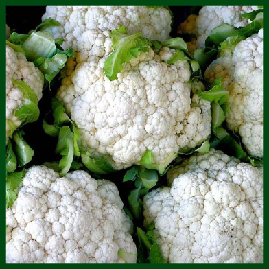 Chandi Hybrid Cauliflower Seeds (10gm) image