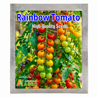 Chinese Clourful Rainbow Tomato Bonsai Seeds (Intack Pack) 0.25 gm image