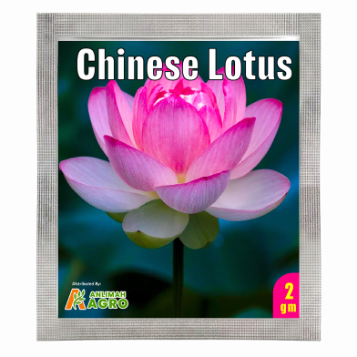 Chinese Lotus Flower Seeds (Intack Pack) 2 gm image