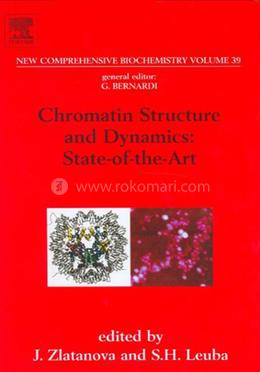 Chromatin Structure and Dynamics: State-of-the-Art