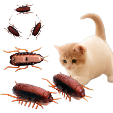 Cockroach Electric Toys For Cat and Small Animal image