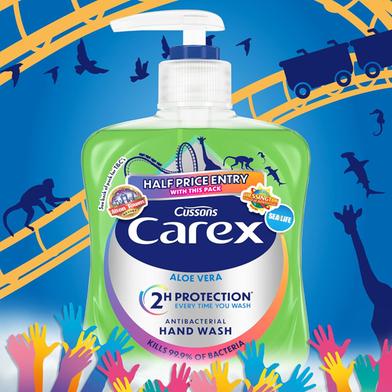 Carex Aloe Vera Hand Wash 250ml - Antibacterial Protection | Rokomari