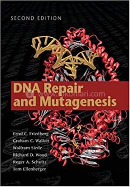 DNA Repair and Mutagenesis