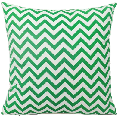 Decorative Cushion Cover Green And White 16x16 Inch image