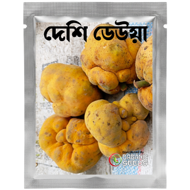 Deshi Dewa Fruit Seeds 10 Pcs image