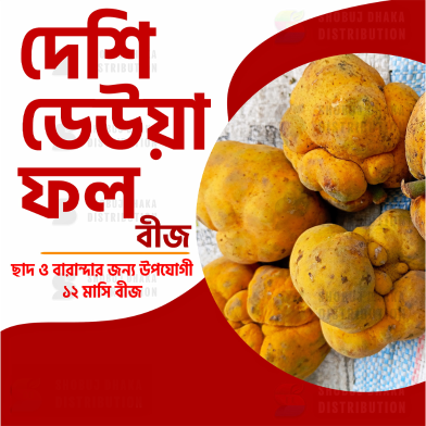 Deshi Dewa Fruit Seeds 10 Pcs image
