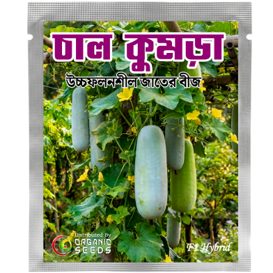 Deshi Organic Green Chalkumra Seed (Intack Pack) - 0.25 gm image