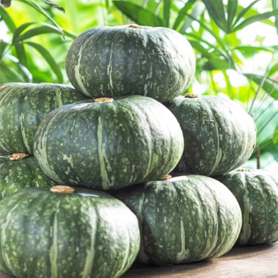 Deshi Organic Sweet Pumpkin Tree Seeds - 10 Pcs image
