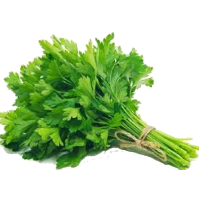 Dhoniya Pata Seeds Home Garden Plant - 50 Pcs image