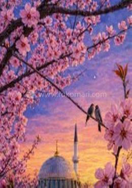 ধ্রুবতারার লাজুক আকাশ (দ্বিতীয় খন্ড)