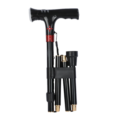 Digital Walking Stick (4 In 1 Fm) - 873347 image